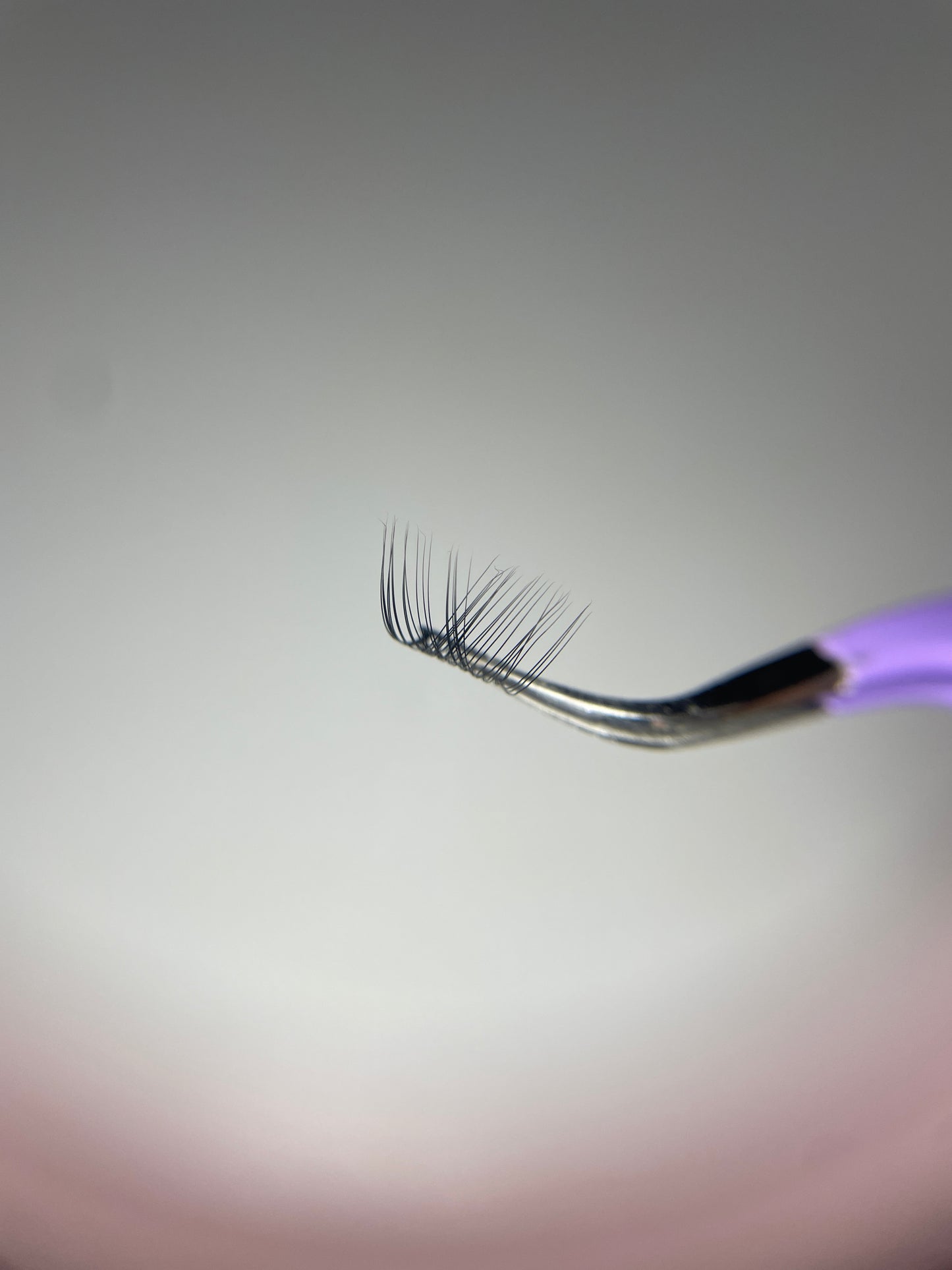 Diy Lashes Schweiz