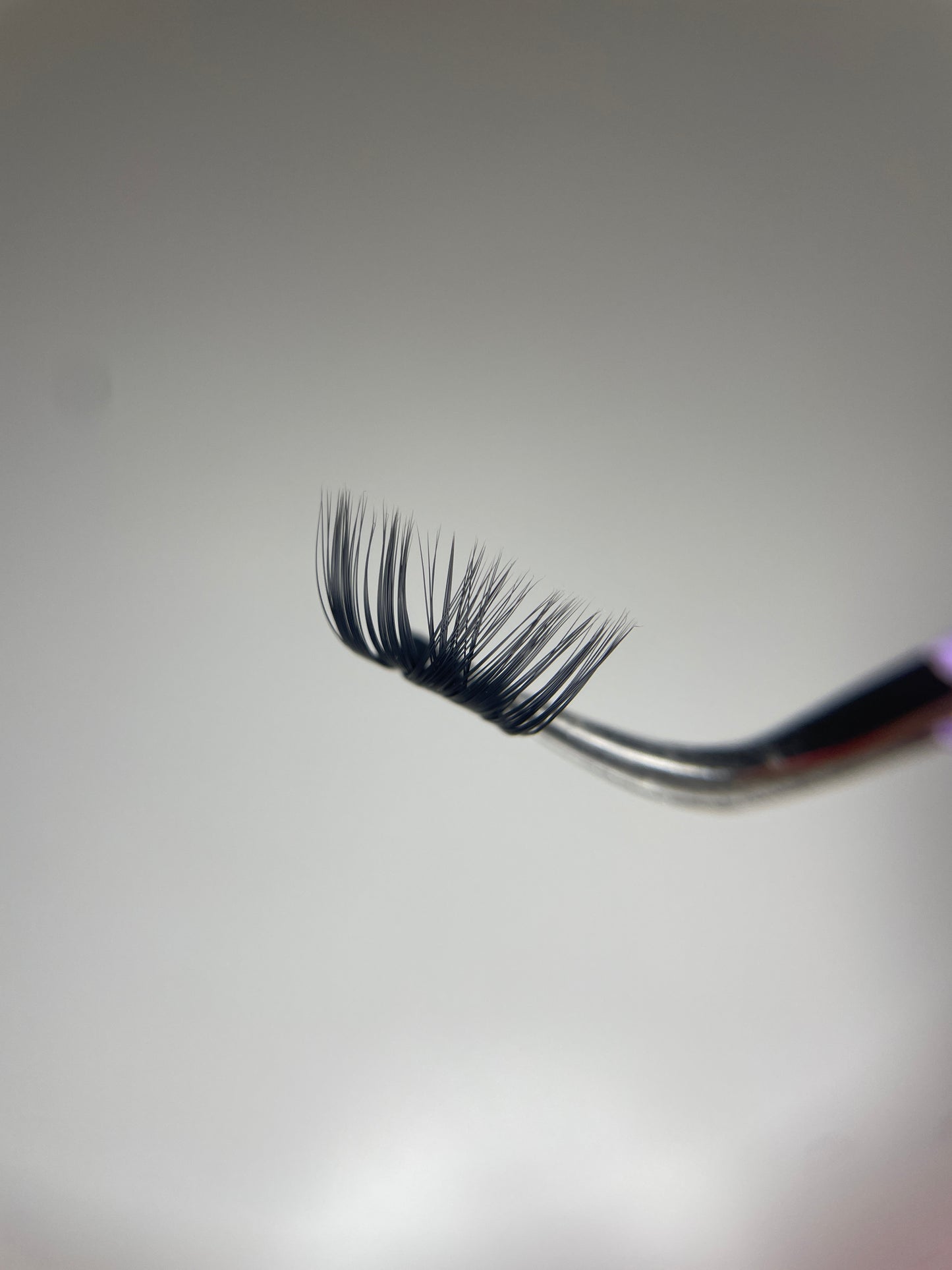 Diy Lashes Schweiz Mega Volumen